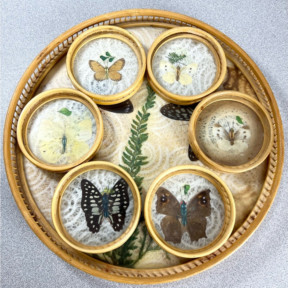 Vintage Round Pressed Butterfly Bar‎ Tray & Coaster Set Bamboo fern leaf retro